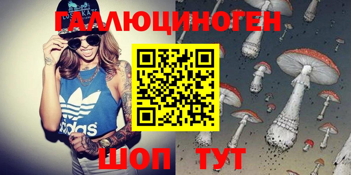 Галлюциногенные грибы Psilocybe  Вход с VPN  Алейск 